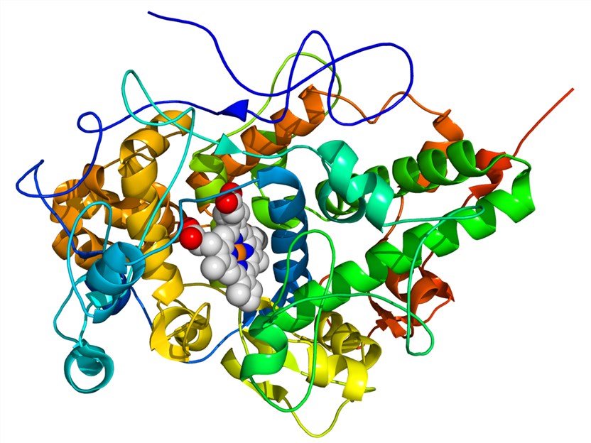 Peroxidase Creative Enzymes Peroxidase Creative Enzymes