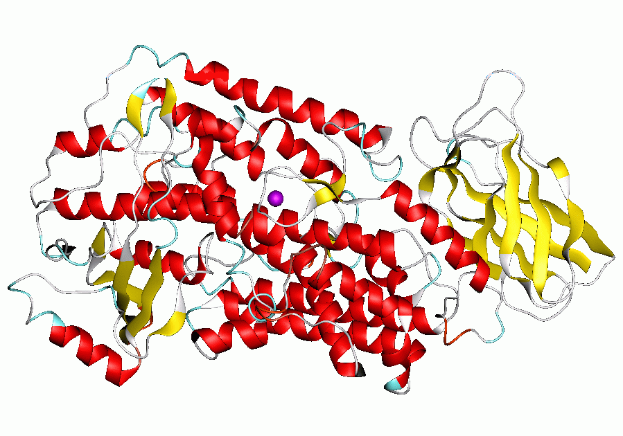 Lipoxygenase