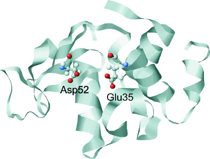  Lysozyme