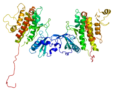 Protein structure of MK2.