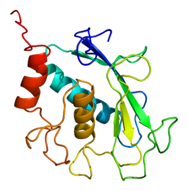 Matrix metalloproteinases