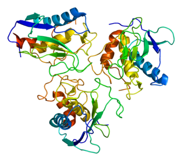 Matrix metalloproteinases