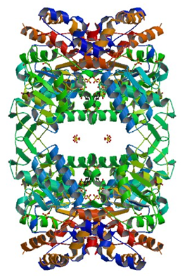 Enzyme Activity Measurement for 5'-Nucleotidase