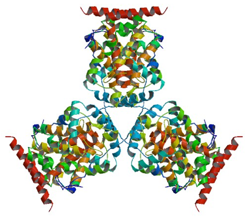 Enzyme Activity Measurement for Acid Phosphatase