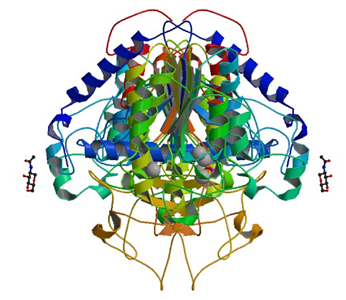 Enzyme Activity Measurement for Alkaline Phosphatase