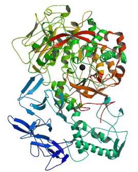 Enzyme Activity Measurement for Dextransucrase