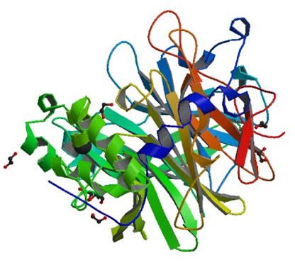 Enzyme Activity Measurement for Levansucrase