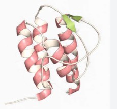 Metalloproteinase