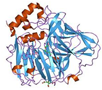 Multi-Copper Oxidase Families