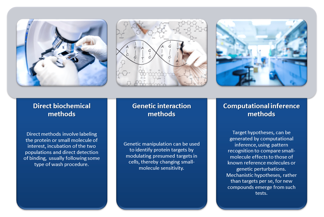 Multiple Enzyme Identification Techniques