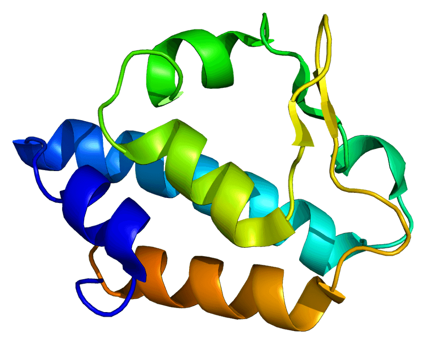 N-Glycanase-1