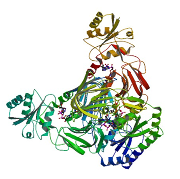 Enzyme Activity Measurement of NAD+ Kinase Using Spectrophotometric Assays