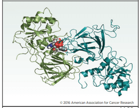 Model of NAD+ (space-filling model) bound to human NADK with each monomer colored green and cyan created using PyMOL 