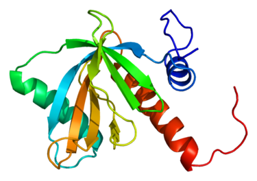Protein structure of Numb protein.