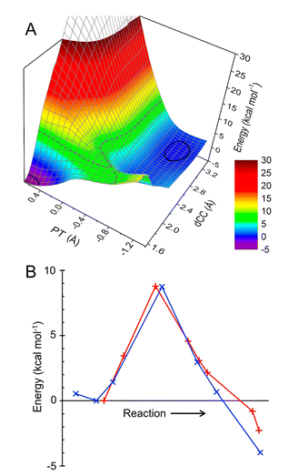 QM/MM potential energy profiles for the carbon-carbon bond formation between ManNAc and the pyruvate-Lys165 Schiff base, with Tyr137 as proton donor