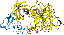 Native Porcine Pancreatin