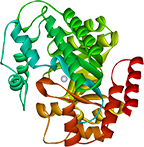 Adenosine deaminase, Recombinant