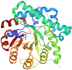 Homocysteine Methyltransferase, Recombinant