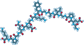 Native Chicken Collagen Type II