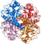 Native Soy Superoxide Dismutase