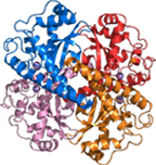 Native Roxburgh Superoxide Dismutase