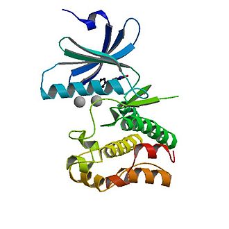 Protein structure of Wee1.