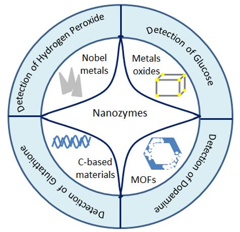 Molecular detection with nanozymes. - Creative Enzymes