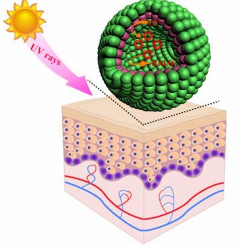 ZnO / CeOx nanozymes provide broad UV spectrum protection and scavenge generated ROS under UV irradiation.