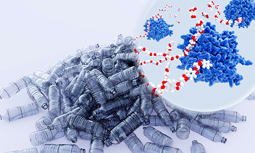 Nanozyme-Based Catalytic Degradation of Pollutants