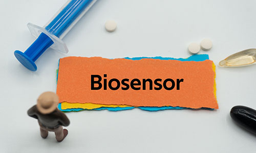 Nanozyme-Based Biosensors