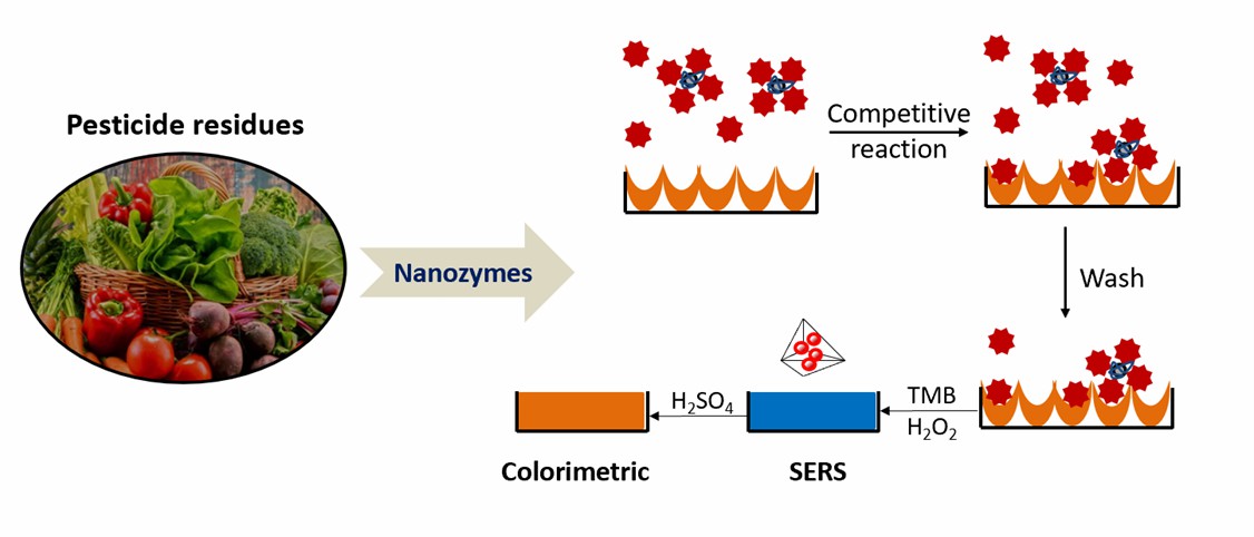 Representative illustration of the nanozyme-based method for the detection of various pesticide residues in food samples.