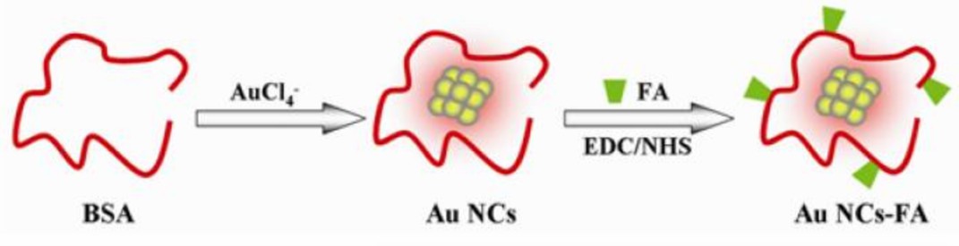 Schematic illustration of the prepared process of Au-based nanoprobes. - Creative Enzymes