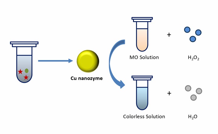 Novel copper nanozyme for efficient dye degradation.