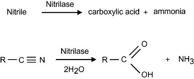 The nitrilase reaction. Nitrilases catalyse the hydrolysis of nitriles to the corresponding carboxylic acid plus ammonia
