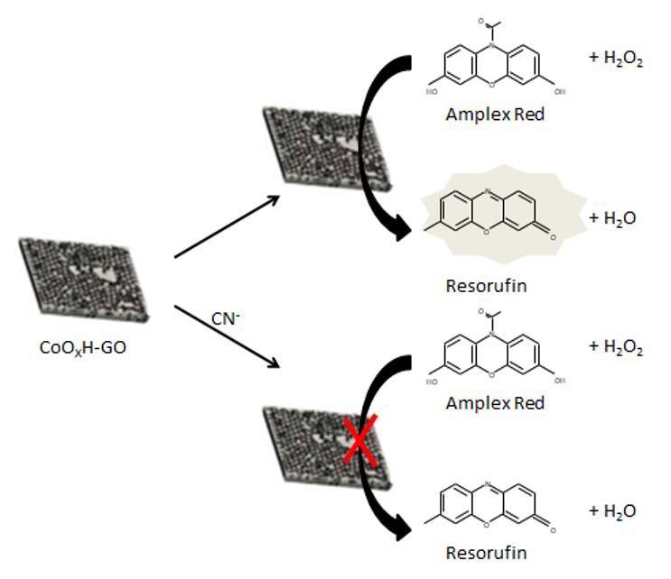 The typical approaches for the synthesis of CQDs. - Creative Enzymes