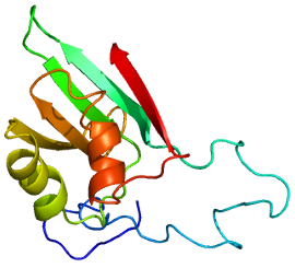 Other PEK family kinases