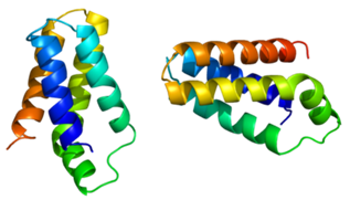 Other PIKK family kinases