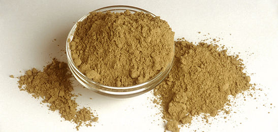 Ox Bile Extract Powder