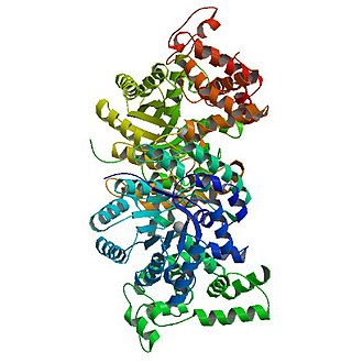 Structure of oxaloacetate decarboxylase