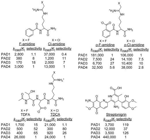 Structure,  potency, and selectivity of the most useful PAD inhibitors