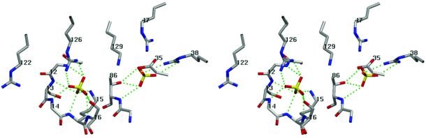 Pnk active site