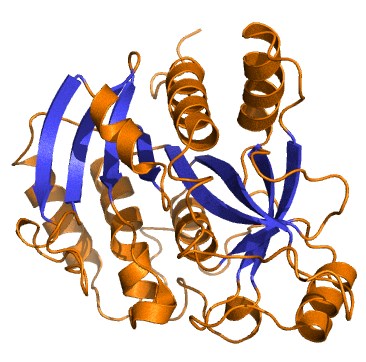 Structure of PNPase.