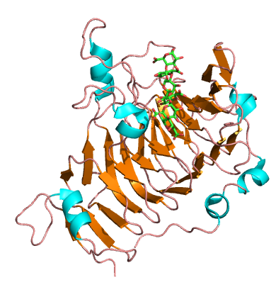 Protein structure of Pectinesterase.