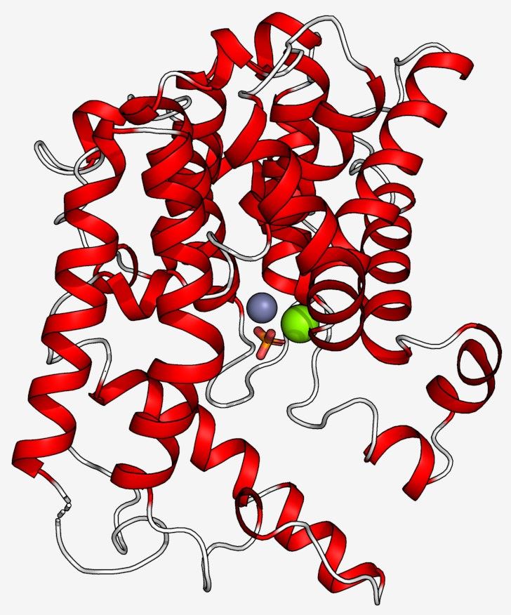 Structure of Phosphodiesterase 2