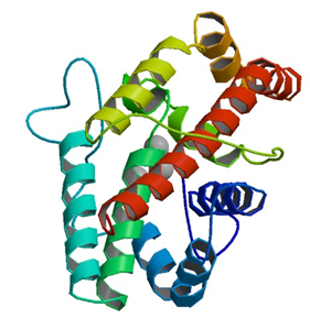 Enzyme Activity Measurement for Phospholipase C