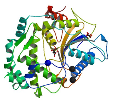 Enzyme Activity Measurement for 4-Phytase