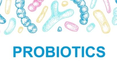 Probiotic