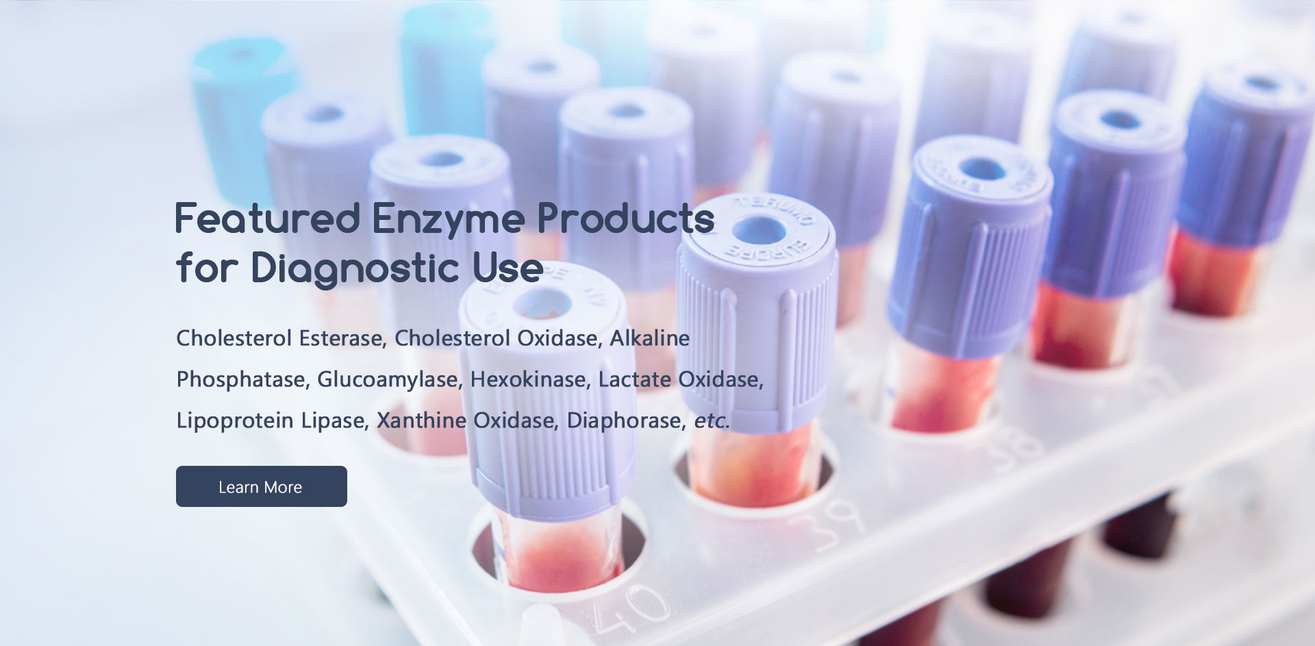 Enzyme, Zymogen, Coenzyme Creative Enzymes