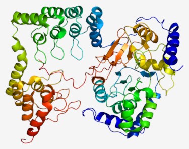 Protein structure of PPP1CB.