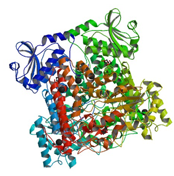 The structure of Pseudomonas cellulosa alpha-D-glucuronidase complexed with xylobiose